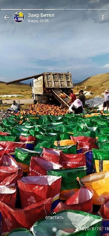 центр плов: Платная доставка — 3