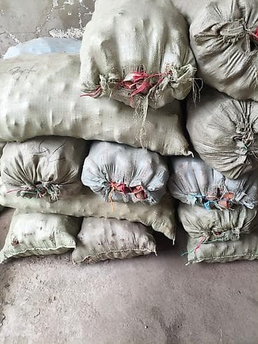 кой сатам: Сабиз Дүңүнөн — 3