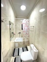 Үйдү ижарага алам: Үй, 268 кв. м, 6 бөлмө, Риелтор, Евро оңдоо — 19