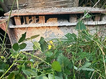 Оңдоп-түзөө жана курулуш: Вибропресс для производства бетонных блоков, в хорошем состоянии, в — 5