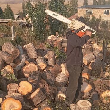 оборудование для выпечки: Спили аварийных деревьев заготовка дров. бак кыйабыз караколдо 5 — 17