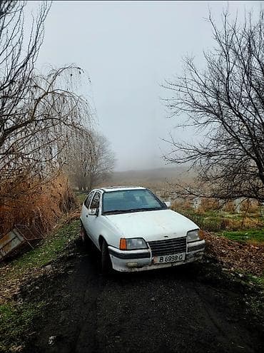 Opel Kadett: 1990 г., 1.3 л, Механика, Бензин, Хэтчбэк