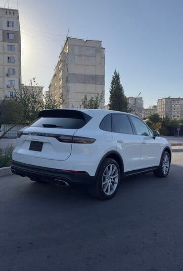 шипованная резина б у: Porsche Cayenne: 2019 г., 3 л, Автомат, Бензиновая, Кроссовер — 3