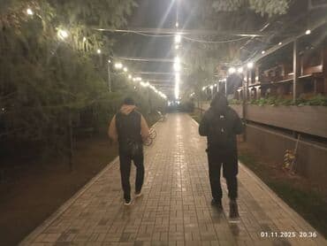 продаю шины на спринтер: Toyota Camry: 2008 г., Автомат, Седан — 4