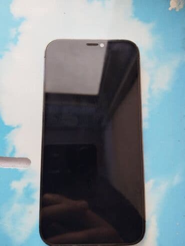 a14: IPhone 12 Pro, Б/у, 128 ГБ, Pacific Blue, Зарядное устройство, Защитное стекло, Чехол, 100 % — 1