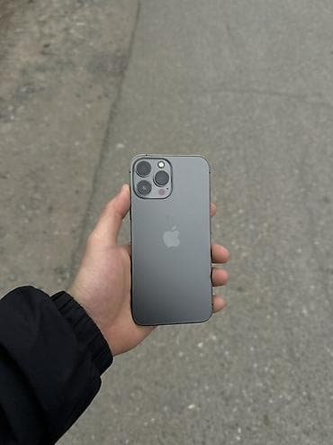 IPhone 13 Pro Max, 256 ГБ, Графит