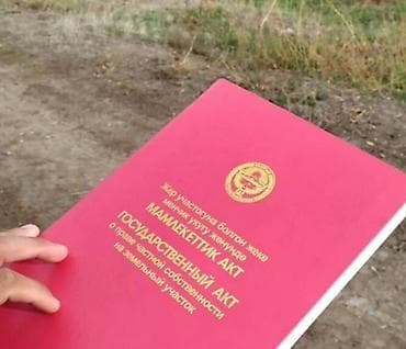 Жер тилкелери: 4 соток, Курулуш, Кызыл китеп — 1
