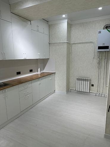 Батир сатып алам: 2 бөлмө, Менчик ээси, Чогуу жашоосу жок, Толугу менен эмереги бар — 3