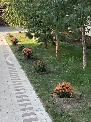 Недвижимость: Сдаётся просторная 1‑комнатная квартира, 68 м², район Киргизия‑2 — 9