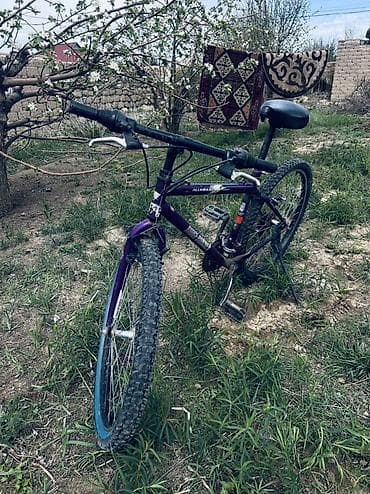 електро велеспет: Горный велосипед, Сталь, Б/у — 1