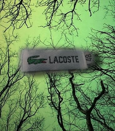 Эркектер кийими: Эркектердин көйнөгү, S, M, Lacoste, Жаңы, түсү - Ак — 4
