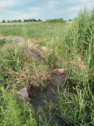 продаю дом бишкек сокулук: 500 соток, Айыл чарба үчүн, Кызыл китеп — 9