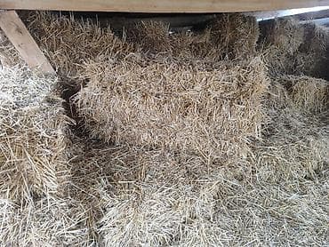 сабиз оптом: Продаю солому 150 тюков — 1