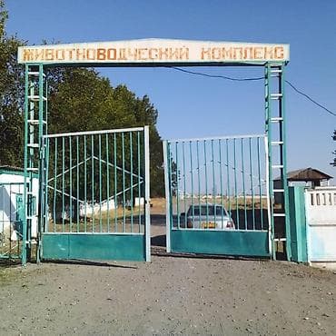 Коммерческая недвижимость: Сдается в долгосрочную аренду крупная животноводческая ферма — 3