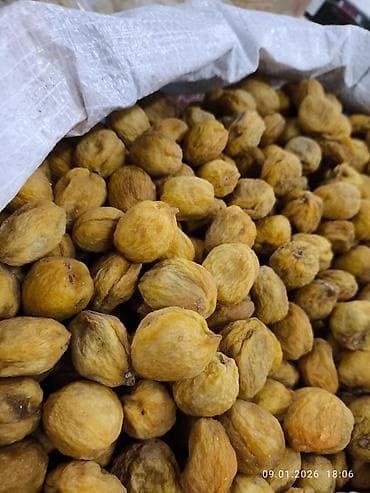 зелёный урюк: Курага (вяленые абрикосы), натуральная - Сорт: домашняя/фермерская — 3