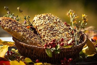 кут парк: Фотосъёмка | Студия | Love story — 7