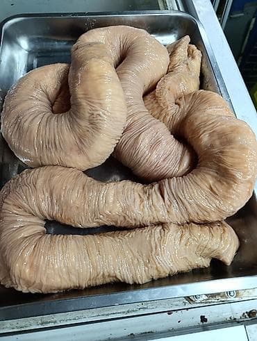 цена мясо в бишкеке сегодня: Жылкы тай эти сатылат дардой мотор А3 — 5