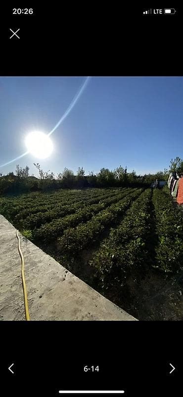 Продажа участков: 14 соток, Для бизнеса, Красная книга — 4