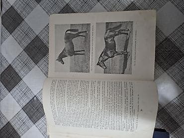 Книги и журналы: Продаю редкую книгу. Тираж-25тыс .экз. Год выпуска 1952. ( Москва ) — 7