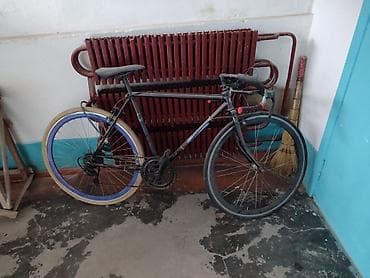 велосипед феникс: Городской/шоссейный велосипед с плоским рулём - Лёгкая стальная рама — 1