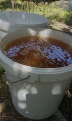 черный мед цена бишкек: Натуральный горный мед из Суу Самыр района. Характеристики: - 100% — 7