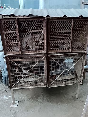 Айыл-чарба жаныбарлары: Двухъярусная клетка для кроликов Самодельная, на прочном — 1