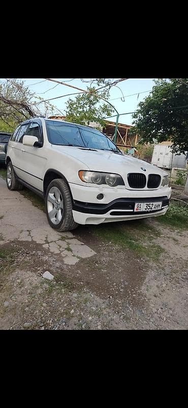 maxxis: BMW X5: 2003 г., 3 л, Автомат, Бензин, Внедорожник — 3