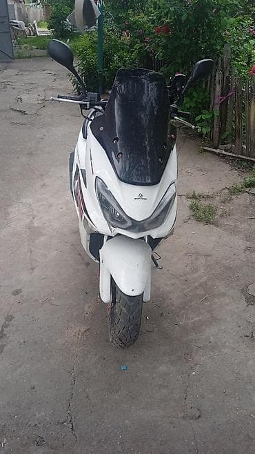 Макси-скутер Honda, 150 куб. см, Бензин, Колдонулган lalafo.kg да Макси-скутер Honda, 150 куб. см, Бензин, Колдонулган