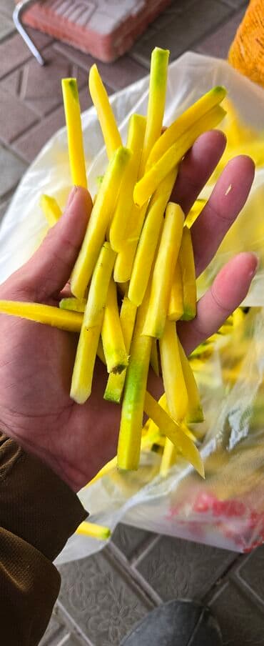 инструмент для огорода: Морковь Бесплатная доставка — 10