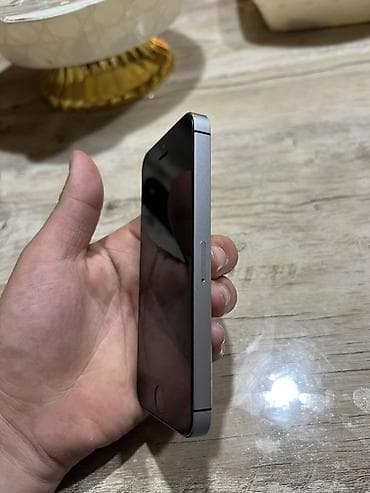навигатор: IPhone SE, Серебристый — 3