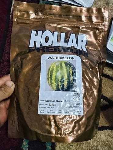 арбуз шамалды сай: Семена арбуза Hollar Premium — сорт Crimson Sweet - Культура — 4