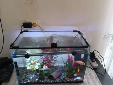 малёк форели: Аквариум 50 литров с крышкой в идеальном состоянии в комплексте — 5