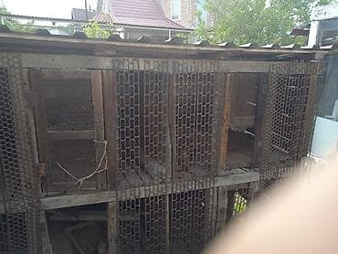 Уличные клетки/вольеры для кроликов или птицы - Модульные секции из — 4