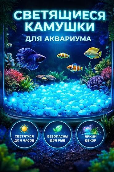 продаю аквариум: Продаю новые Декоративные камушки для аквариума Цвет: Нежно-голубой с — 1