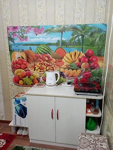 1 комнату: 24 м², С мебелью — 7