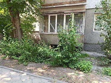 5: 1 комната, 32 м², 104 серия, 1 этаж, Косметический ремонт — 1