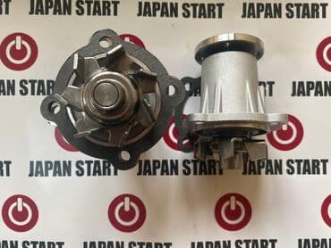 где купить саженцы гортензии в бишкеке: Помпа Toyota Новый — 2