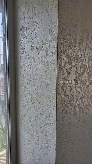 Үй жана бакча: Шыбак Минералдык — 8