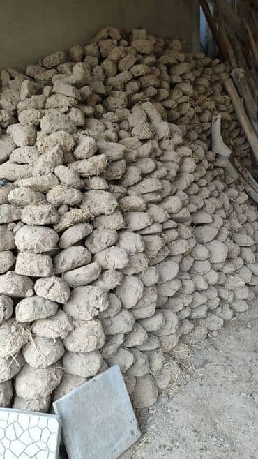 купить семена в бишкеке: Губала,кесек,иликолек сатылат Алам дегендер звонок кылгыла баасын — 2