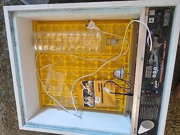 Оборудование для производства: Бытовой инкубатор «Норма = МИР» - Электронная панель управления с — 3