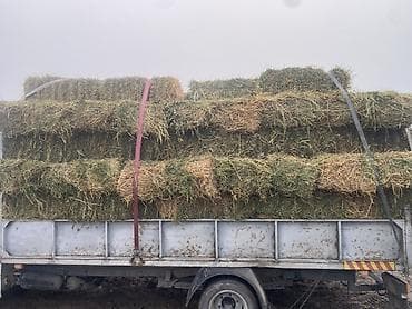 саман сено: Продаю тюки Чоп сатылат Сено в тюках - Прессованные прямоугольные — 1