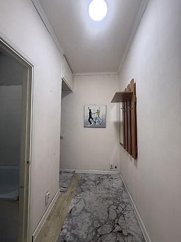 1: 1 комната, 43 м², Бишкек Парк ТРЦ Индивидуалка, 4 этаж — 3