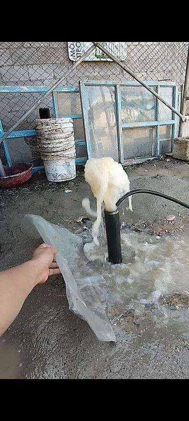 Центробежный насос для скважины установка насоса ремонт насос