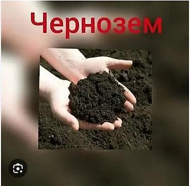 В тоннах, Бесплатная доставка, Зил at lalafo.kg В тоннах, Бесплатная доставка, Зил