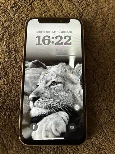 IPhone 12 mini, 100 %