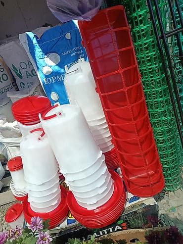 Үй жаныбарлары: Поилки и кормушки для птицы (домашней птицы и молодняка) - — 1