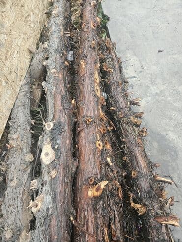 алюминий эшик: Сапаттуу арча сатылат! Парилка, баня учун эн сонун жыты бар арча — 1