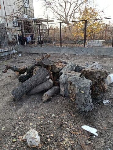 живая дерева: Дрова — 2