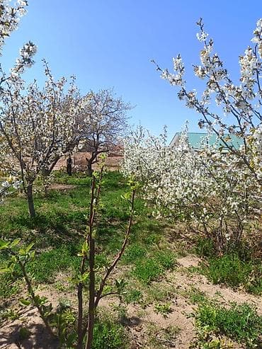 Продажа участков: 10 соток, Красная книга — 8