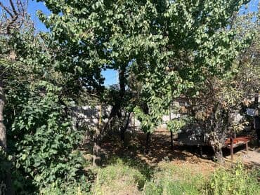 оптом продукт: Отун — 6